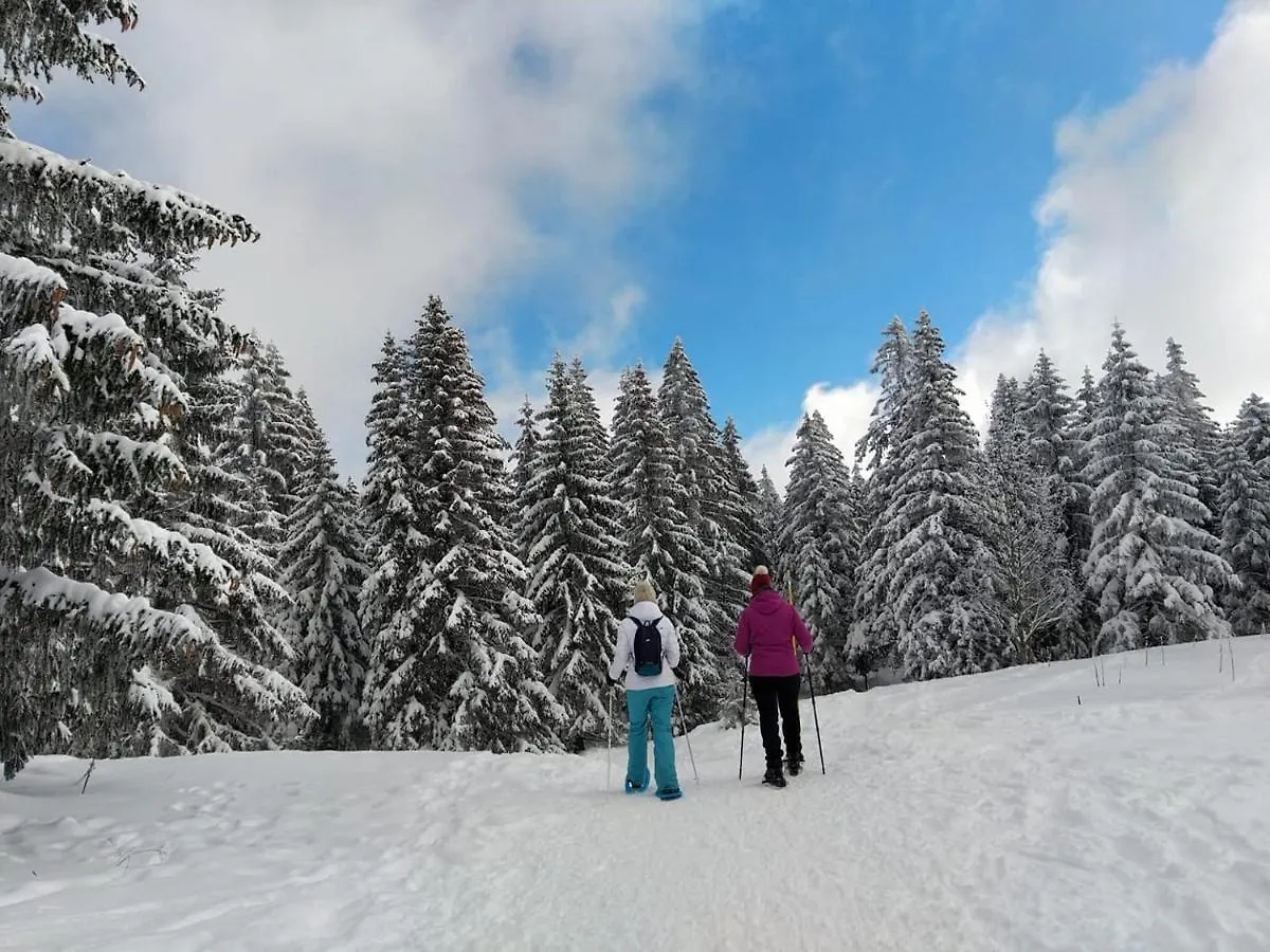 Le Valserine - Camping Eco Responsable Chezery-Forens Campsite