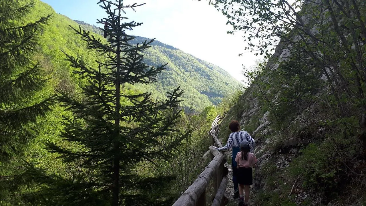 Le Valserine - Camping Eco Responsable Chezery-Forens 3*,  France